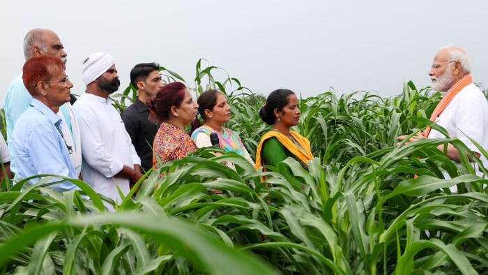 पीएम मोदी ने देश को समर्पित कींं चावल की 3 नई किस्में