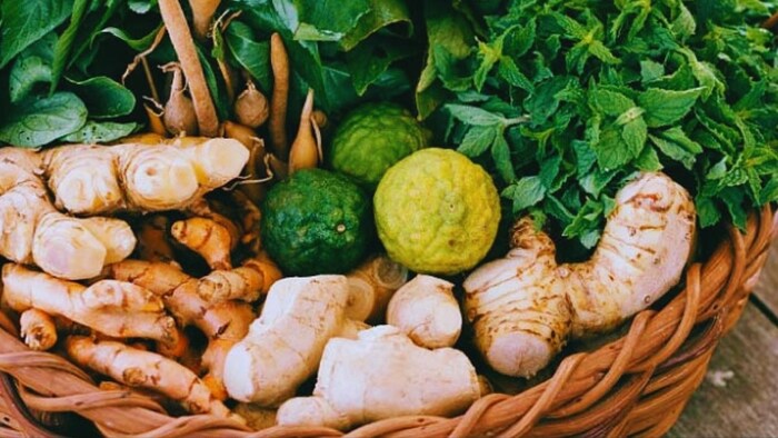 किस फसल की वैरायटी है हिमाचल