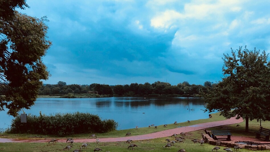River Link Project : केन बेतवा के जुड़ने से सूखा मुक्त होगा बुंदेलखंड, योगी सरकार का ये है प्लान River Link Project : केन बेतवा के जुड़ने से सूखा मुक्त होगा बुंदेलखंड, योगी सरकार का ये है प्लान