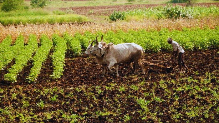 सीएम सैनी की 10 बड़ी घोषणाएं
