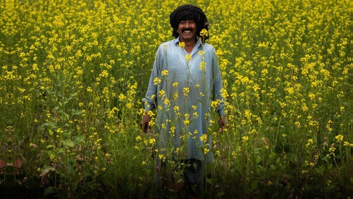 भारत की तरह पाकिस्तान में भी किसान कार्ड