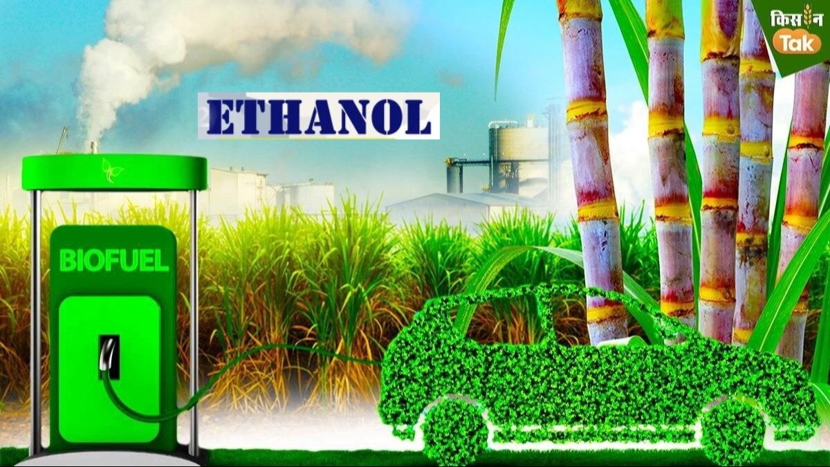 डिस्टलरीज को इथेनॉल कोटा मिलने का रास्ता साफ हुआ.