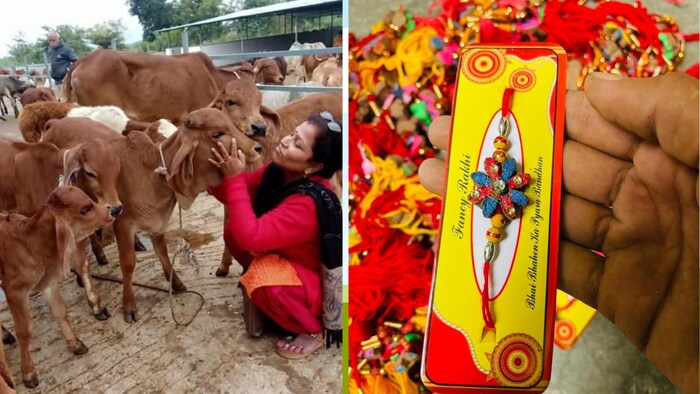 गाय के गोबर ने बदल दी जालौन की महिलाओं की किस्मत (Photo-Kisan Tak)