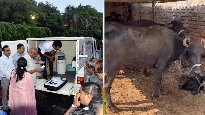 पशुधन उत्पादकता में वृद्धि में होगा लाभकारी (Photo-Kisan Tak)