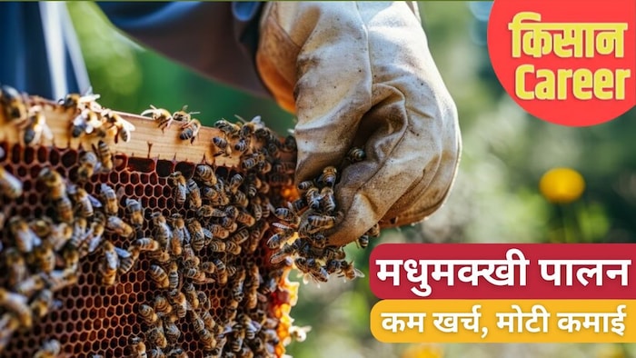 मधुमक्खी के शहद का इस्तेमाल कई सदियों से किया जा रहा है.