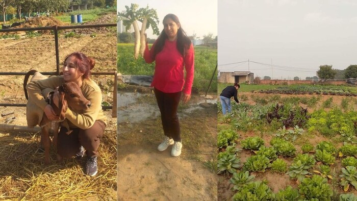 फैशन डिजाइनिंग छोड़ चंचल शांडिल्य बनी जैविक किसान