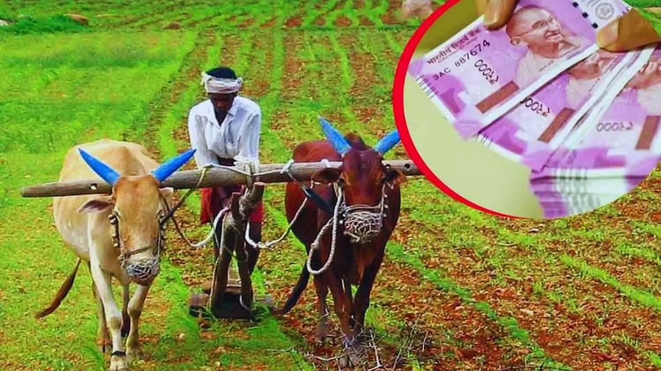 किसान को बता दिया सरकारी मुलाजिम, लोन माफी देने से किया इनकार किसान को बता दिया सरकारी मुलाजिम, लोन माफी देने से किया इनकार