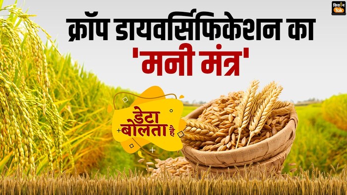 कैसे सफल होगा क्रॉप डायवर्सिफिकेशन.