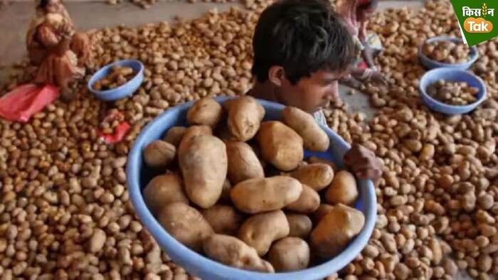 पश्चिम बंगाल जरूरत वाले राज्यों को हर हफ्ते 2 लाख टन आलू देगा.