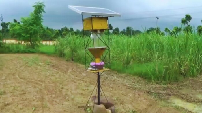 AI फेरोमोन ट्रैप