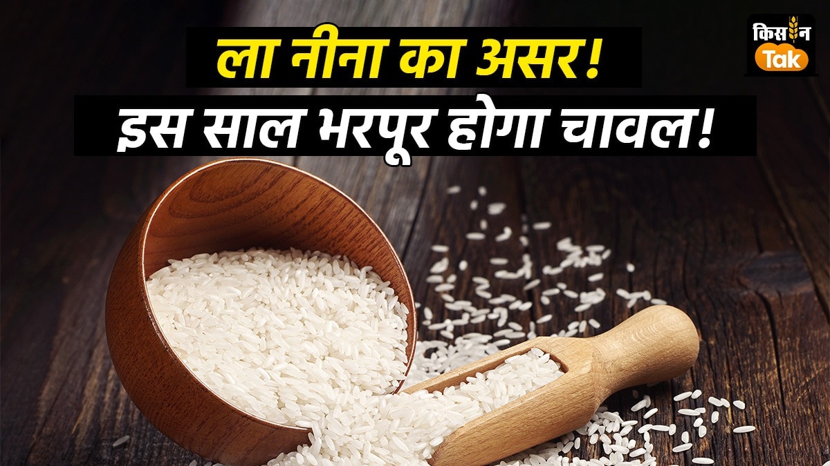 देश में चावल का उत्पादन बढ़ने की उम्मीद