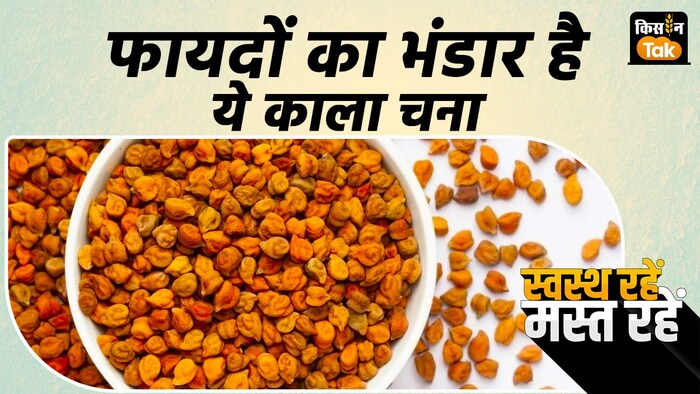 हेल्दी रहने के लिए खाली पेट खाएं काला चना