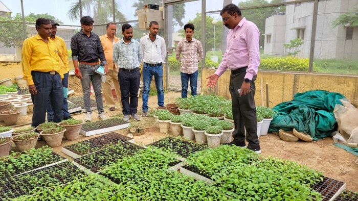 इस विधि से एक ही बार में किसान दो फसलों को प्राप्त कर सकते हैं.