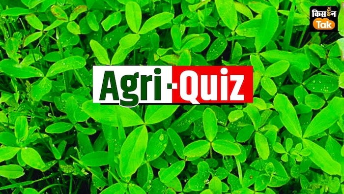 किस फसल की वैरायटी है मसकावी