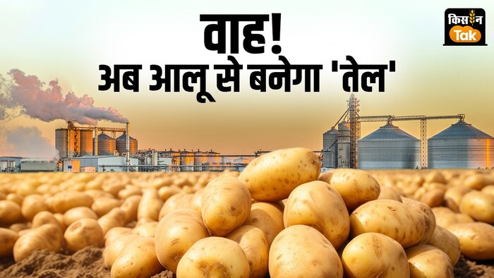 आलू से बनेगा इथेनॉल