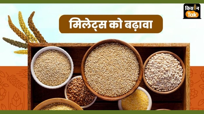 कोदो-कुटकी उपज को एमएसपी पर खरीदने की घोषणा की गई है.