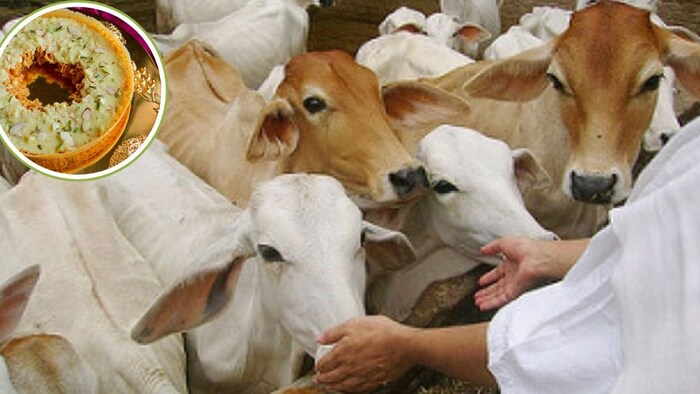 घेवर बेच कर रहे गौ सेवा