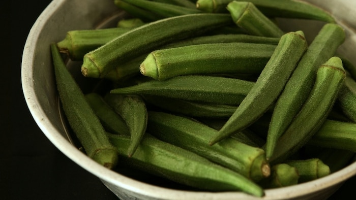 सफेद मक्खी की वजह से हो जाती है पूरी फसल चौपट