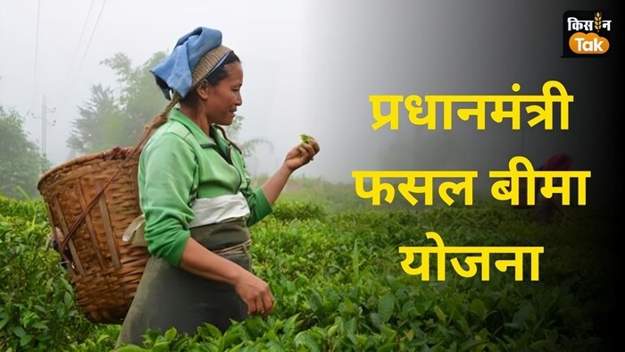 खरीफ फसलों का बीमा