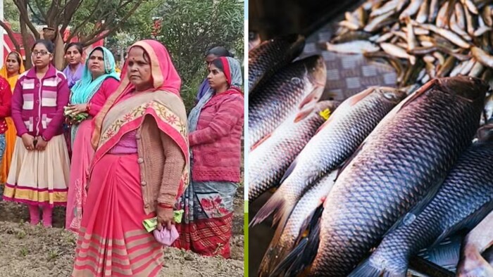 यूपी सरकार महिला मछली पालकों को देगी सब्सिडी (Photo-Kisan Tak)