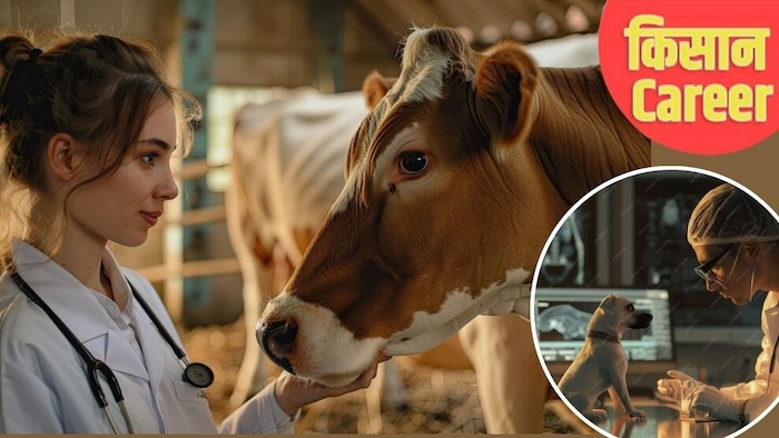 RAJUVAS बैचलर ऑफ वेटरनरी साइंस एंड एनिमल हसबेंडरी कोर्स की पढ़ाई के लिए एडमिशन प्रक्रिया चल रही है.