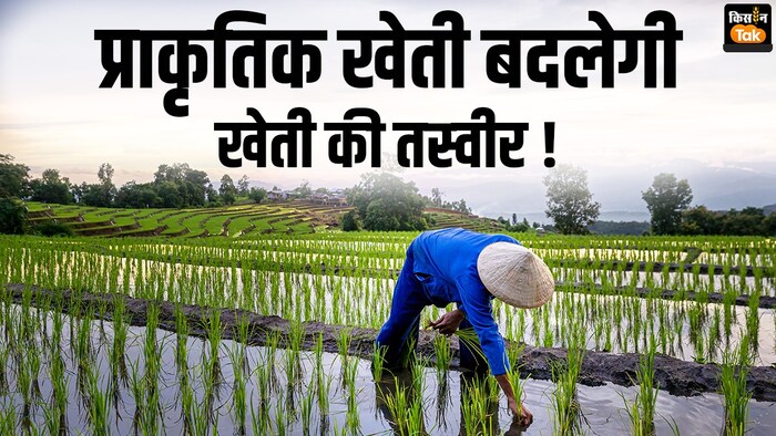 छोटी जोत वाले किसानों को कम निवेश में दोहरा फायदा कराएगी प्राकृतिक खेती