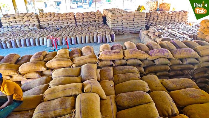 MSP पर धान खरीद की समय सारिणी जारी (Photo- Kisan Tak)