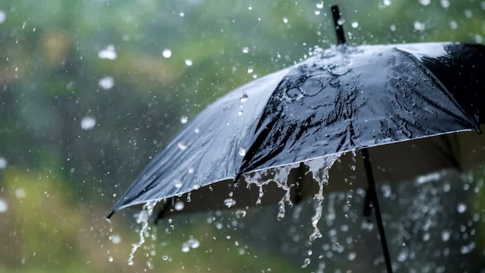 जन्माष्टमी के मौके पर कुछ जिलों में भारी बारिश की संभावना (सांकेतिक तस्वीर)