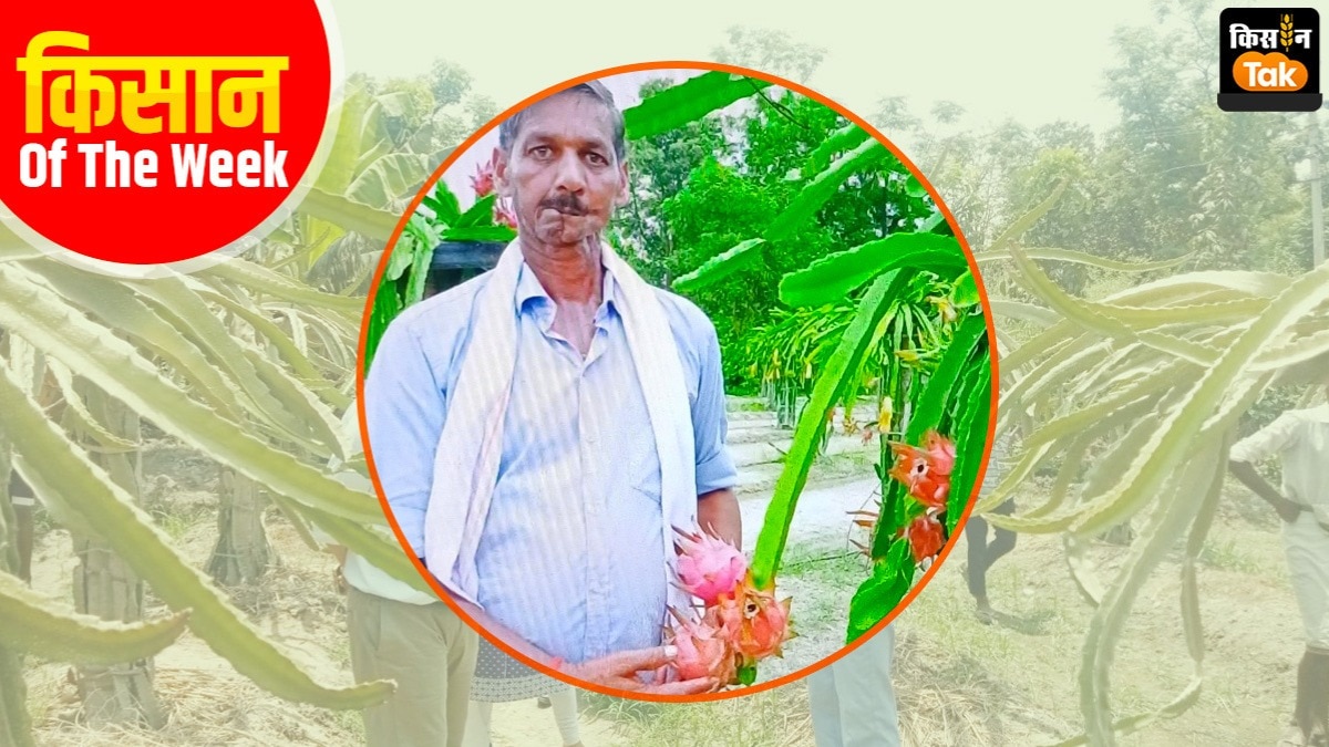 स्ट्रॉबेरी की खेती करने वाले ग्राम- मोहम्मदपुर, बाराबंकी के प्रगतिशील किसान गया प्रसाद मौर्य (Photo-Kisan Tak)