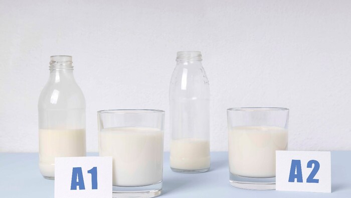 a1 milk, a2 milk
