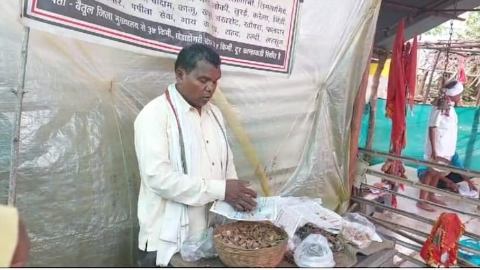 बैतूल में जड़ी बूटी से होता है इलाज