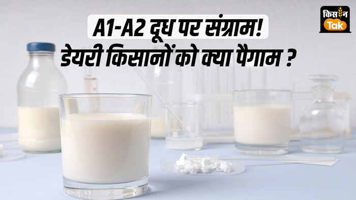 A1 और A2 दूध उत्पादों पर विवाद से डेयरी किसानों को मिलेगा फायदा