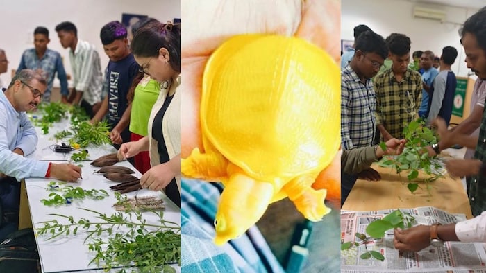 छत्तीसगढ़ में नए तरीके से शुरू किया गया ग्रीन स्किल डेवलपमेंट प्रोग्राम