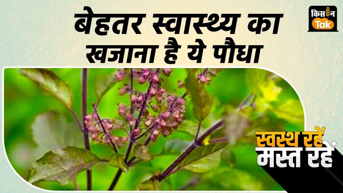 तुलसी के फायदे