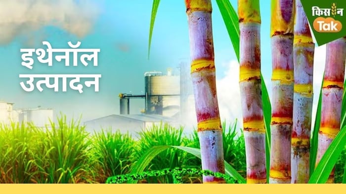 इथेनॉल उत्पादन को बढ़ावा देगी सरकार.