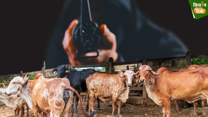 पीलीभीत टाइगर रिजर्व के समीप अतिसंवेदनशील गांवों में चल रहा मार्किंग व सर्वे का कार्य (Photo-Kisan Tak)