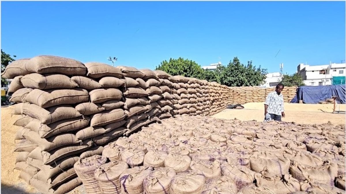 Rice Procurement: केंद्र ने तय किया एमएसपी पर चावल खरीद का लक्ष्य, मोटे अनाजों पर होगा फोकस - Paddy Procurement Center has set target of purchasing rice at MSP focus will be on coarse grains millets omp -