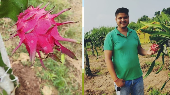 ड्रैगन फ्रूट्स की खेती करने वाले बस्ती जिले के कोठवा गांव के युवा किसान देवांश पांडेय (Photo-Kisan Tak)