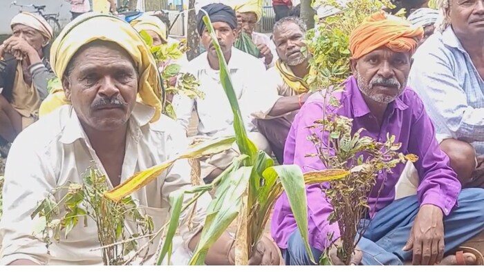 बर्बाद फसल को दिखाते किसान