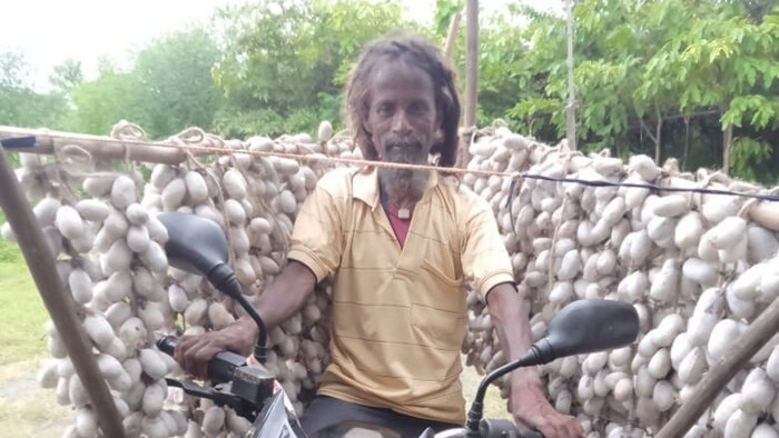 तसर की खेती