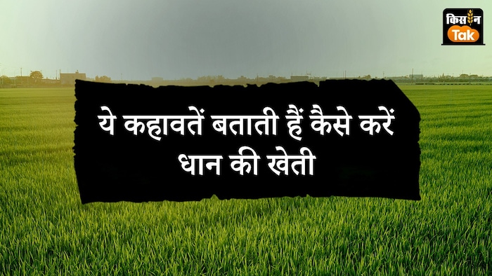 धान की खेती से जुड़ी कहावतें