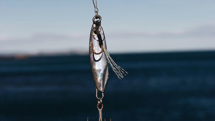 तालाब का पानी काला होना मछलियों के लिए खतरनाक