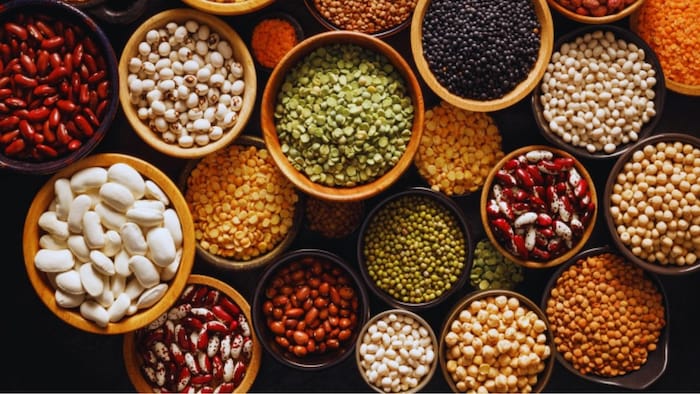 किस फसल की किस्म है पूसा 3022