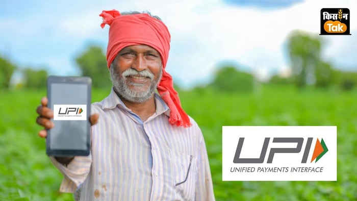 यूपीआई पेमेंट शहरों में लोकप्रिय होने के बाद ग्रामीण क्षेत्रों में तेजी से बढ़ रही है.
