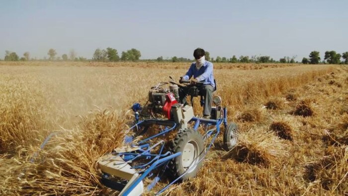 सोयाबीन की फसल काटने वाली मशीन