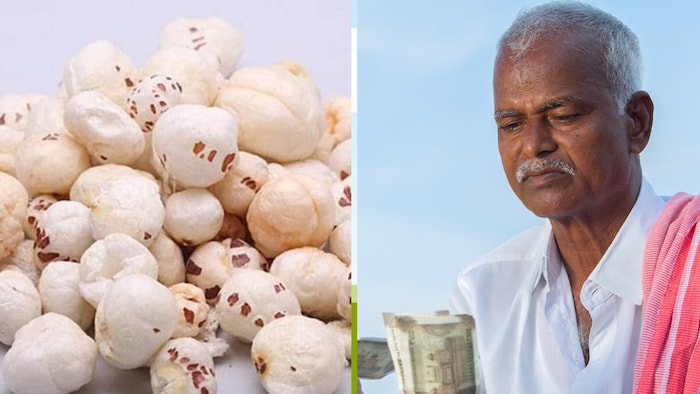 मखाने की खेती के लिए UP सरकार भी किसानों को मदद करेगी. (Photo-Kisan Tak)