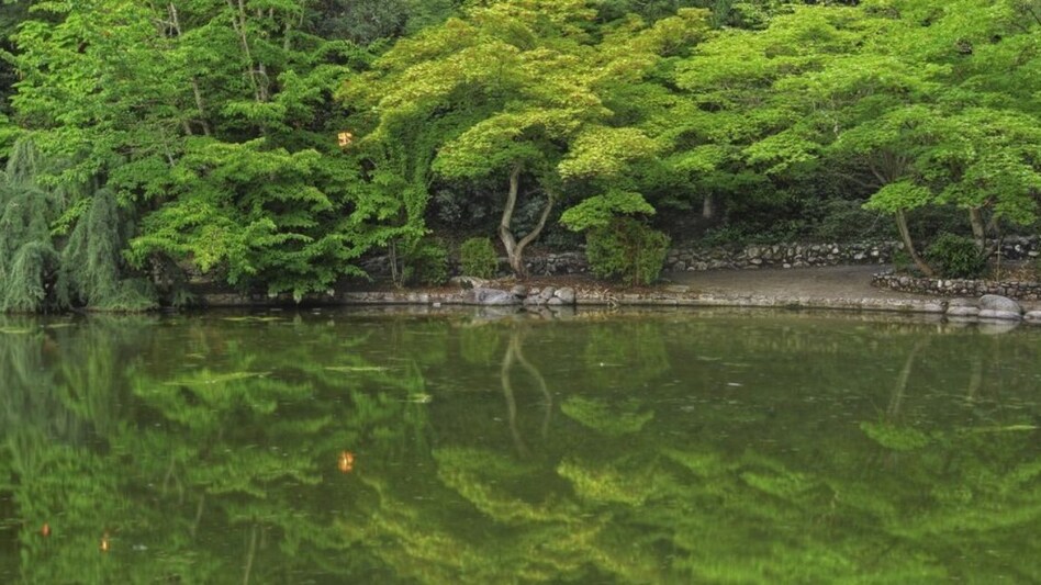 तालाब बनवाने के लिए 1.35 लाख रुपये की सब्सिडी दे रही राजस्थान सरकार, ऐसे करें अप्लाई तालाब बनवाने के लिए 1.35 लाख रुपये की सब्सिडी दे रही राजस्थान सरकार, ऐसे करें अप्लाई