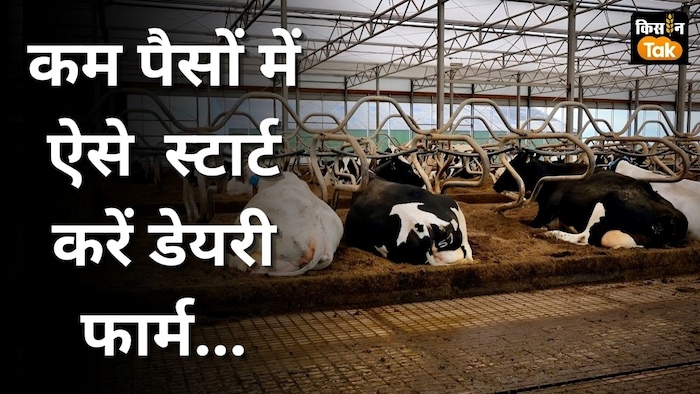 कम बजट में डेयरी की शुरुआत का तरीका