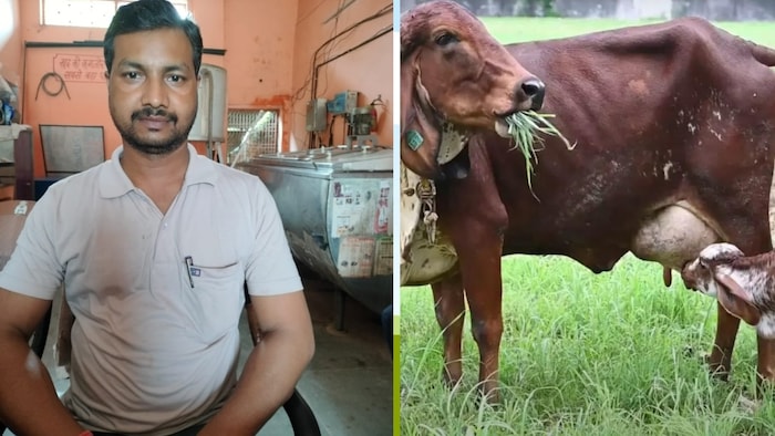 डेयरी फार्मिंग करने वाले बाराबंकी के गणेशपुर गांव निवासी लवलेश कुमार (Photo-Kisan Tak)