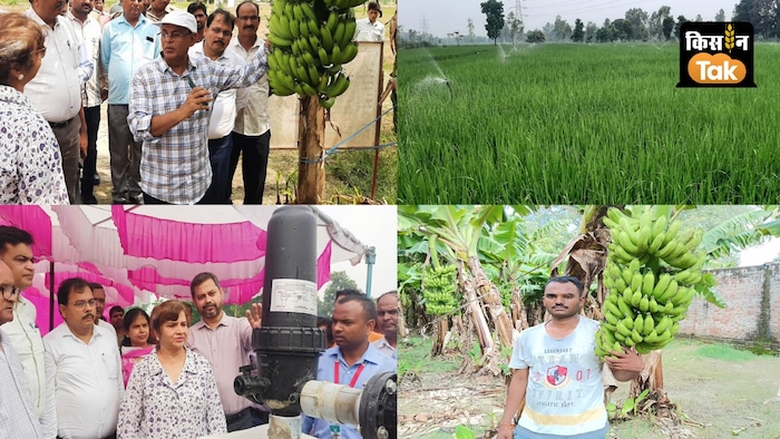 बाराबंकी जिले के किसान अब महाराष्ट्र के केले को टक्कर दे रहे हैं. (Photo-Kisan Tak)